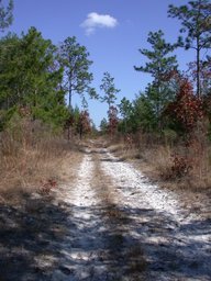 dscn3497.jpg