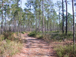 dscn3500.jpg