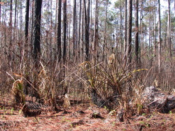 DSCN2466.JPG
