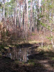 DSCN2467.JPG