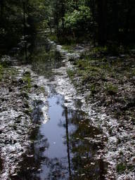 DSCN2468.JPG