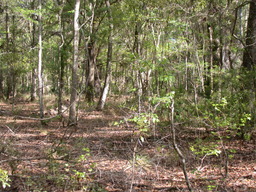 DSCN2470.JPG