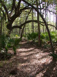 DSCN2473.JPG