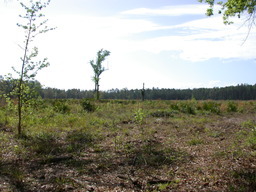 DSCN2474.JPG
