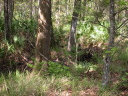 DSCN2475.JPG