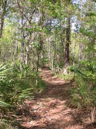 DSCN2476.JPG
