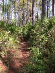 DSCN2478.JPG