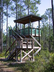 DSCN2479.JPG