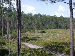 DSCN2480.JPG