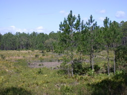 DSCN2482.JPG