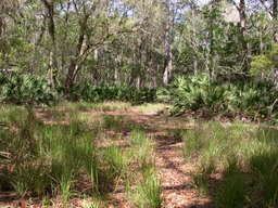 DSCN2488.JPG