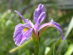 DSCN2492.JPG