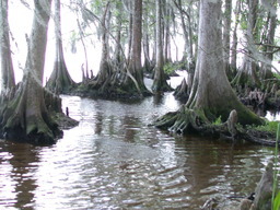 DSCN2498.JPG
