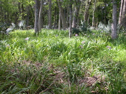 DSCN2502.JPG
