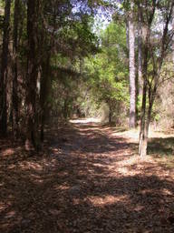 DSCN2504.JPG