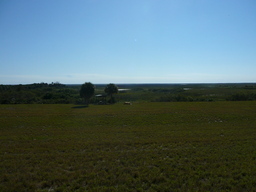 p1020463.jpg