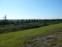 p1020464.jpg