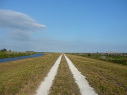p1020484.jpg