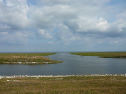 p1020527.jpg