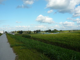 p1020534.jpg
