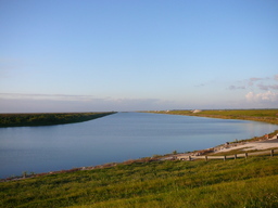 p1020538.jpg