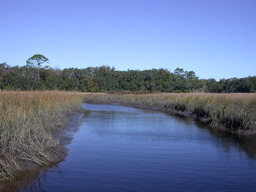 dscn4808.jpg