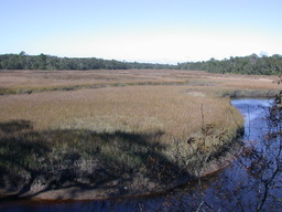 dscn4811.jpg