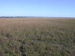 dscn4820.jpg