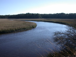 dscn4822.jpg