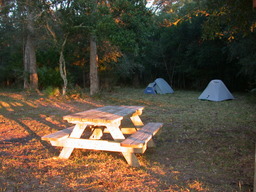 dscn4836.jpg