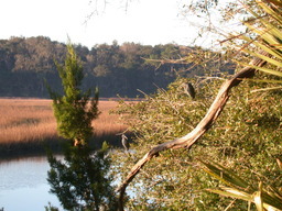 dscn4841.jpg
