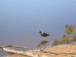 dscn4845.jpg