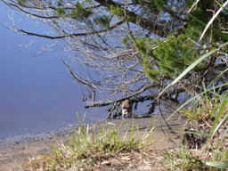 dscn4851.jpg