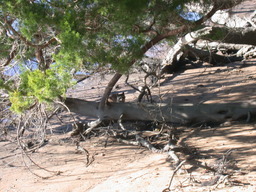 dscn4857.jpg