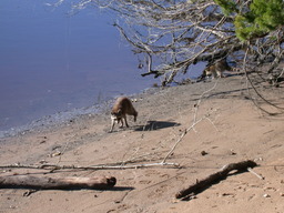 dscn4858.jpg