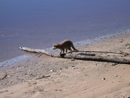 dscn4859.jpg