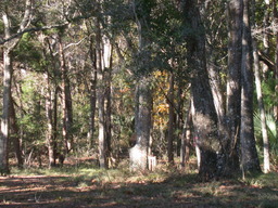 dscn4870.jpg