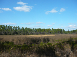 P1070419.jpg