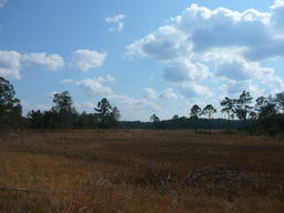 P1070487.jpg