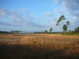 P1070530.jpg