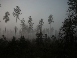 P1070577.jpg