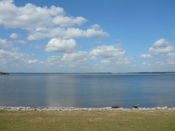 P1070622.jpg