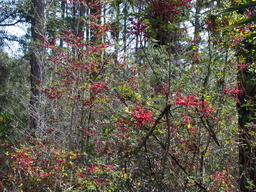 DSCN1929.JPG