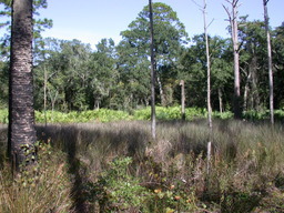 DSCN1930.JPG