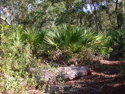 DSCN1931.JPG