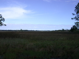 DSCN1942.JPG