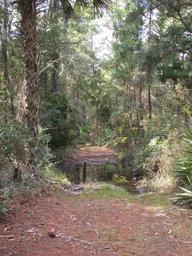 DSCN1946.JPG