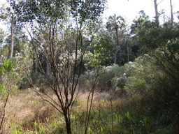 DSCN1948.JPG