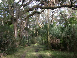 DSCN1949.JPG
