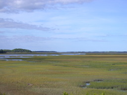 DSCN1961.JPG